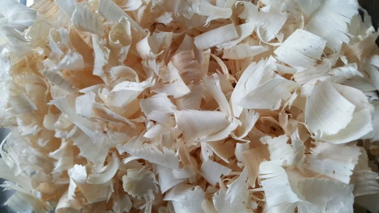 Copeaux de bois en vrac pour chevaux