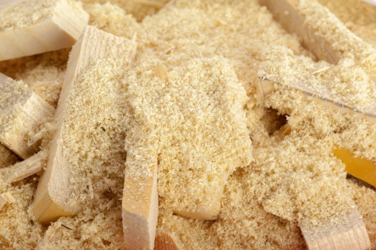 Sciure de bois pour chevaux